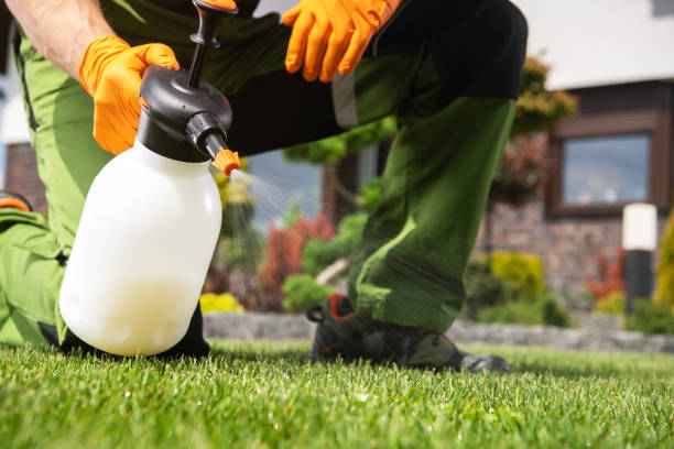Trusted Lincoln, ID Pest Control Experts