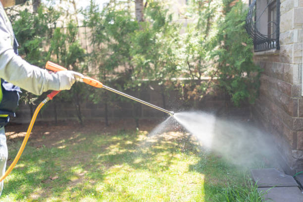 Best Flea Control Services  in Lincoln, ID
