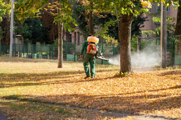 Best Local Pest Control Services  in Lincoln, ID