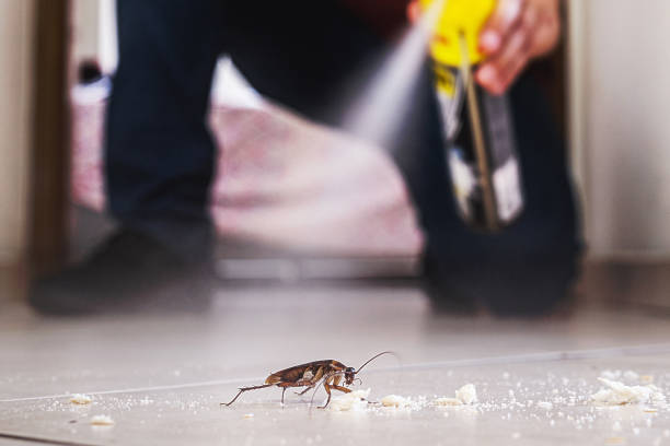 Best Commercial Pest Control Services  in Lincoln, ID