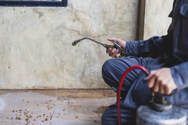 Best Emergency Pest Control  in Lincoln, ID